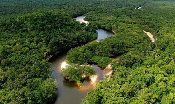 علماء الآثار يكتشفون شبكة مخفية مِن القرى في الأمازون مُرتّبة
