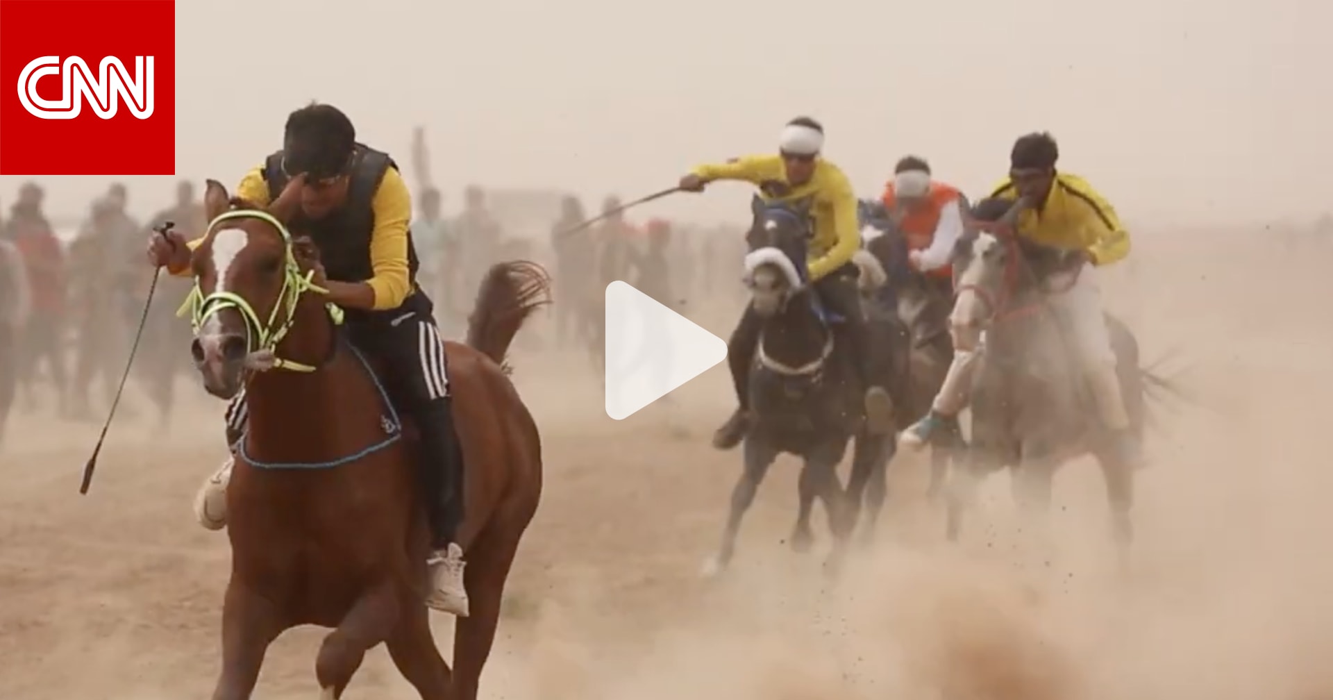 مسابقة للخيول العربية الأصيلة بمشاركة 125 جوادا في القامشلي