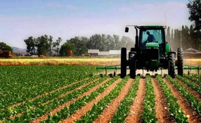 576,9 MD d’investissements agricoles privés approuvés en 2021 – Univers News