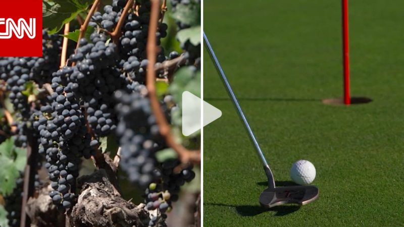 هل من أوجه شبه بين لعب الغولف وصنع النبيذ في جبال الألب السويسرية؟