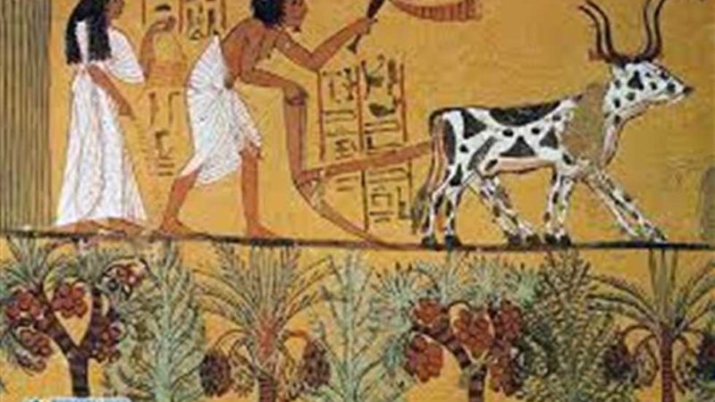 «قبل 14 ألف سنة» كيف حافظ الفراعنة على المناخ في مصر قبل Cop27