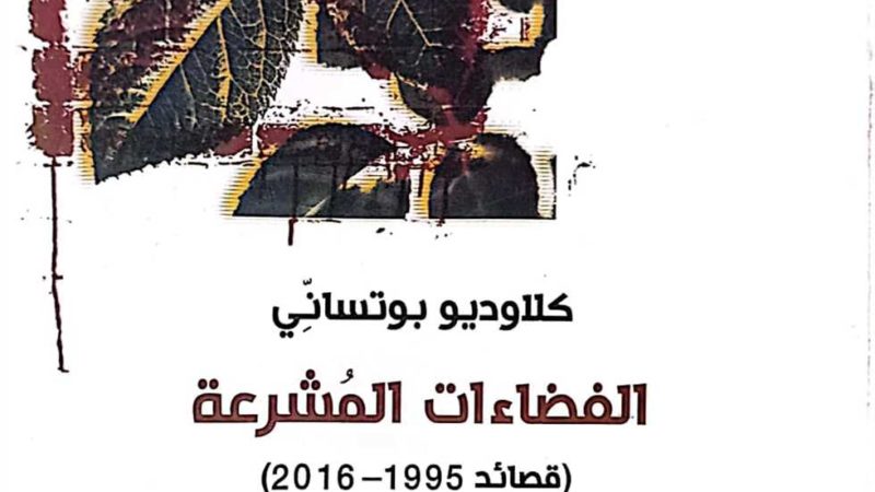 «هيئة الكتاب» تصدر المجموعة الشعرية «الفضاءات المُشرعة»