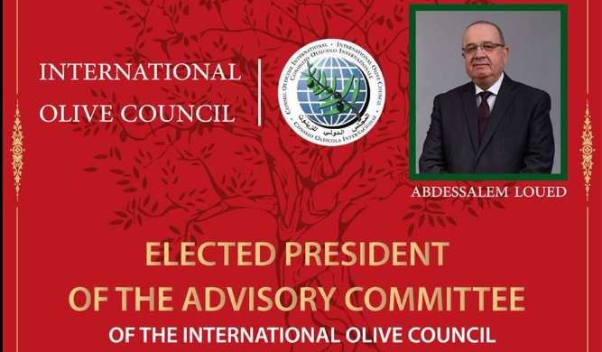 Abdesselam Eloued élu Président Du Comité Consultatif De L’huile D’olive Du COI