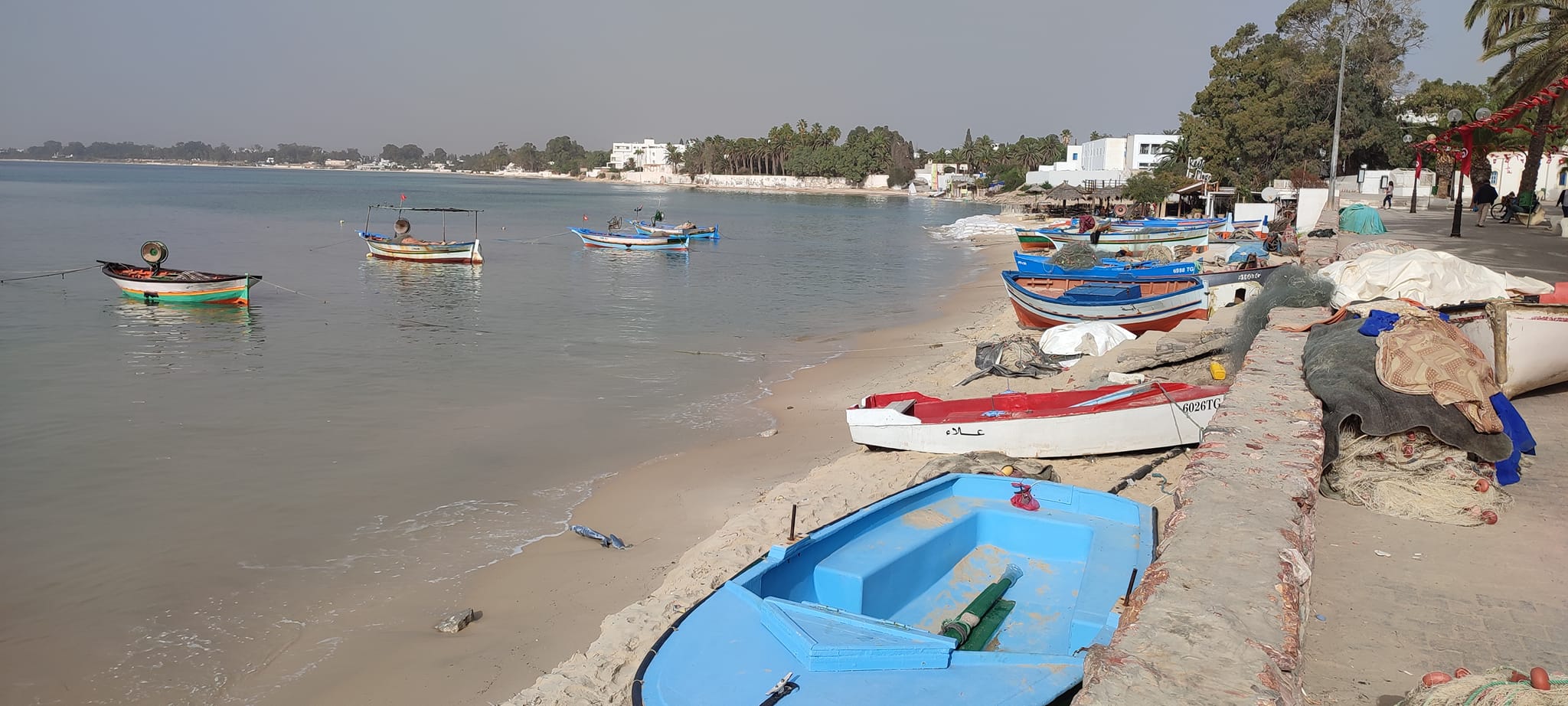 Les Pêcheurs D’Hammamet Demandent… Un Abri Pour Leurs Bateaux !!!