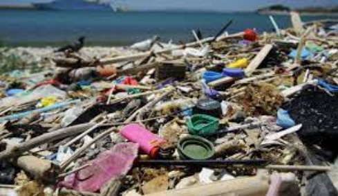 La Gestion Des Déchets Plastique… Casse-tête De L’île De Djerba!!!