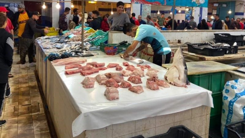 Trop Cher Le Poisson… Boudé Par Les Tunisiens!!!