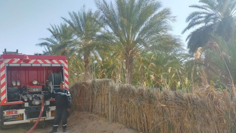 Le Feu Dévore 2 Ha De Palmiers Dans L’oasis Ibn Chabat à Tozeur