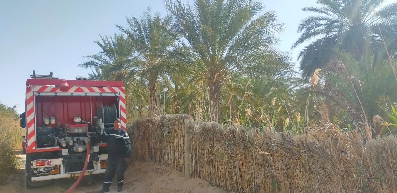 Le Feu Dévore 2 Ha De Palmiers Dans L’oasis Ibn Chabat à Tozeur