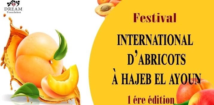 Hajeb Laayoun à l’heure du festival international des abricots – Univers News