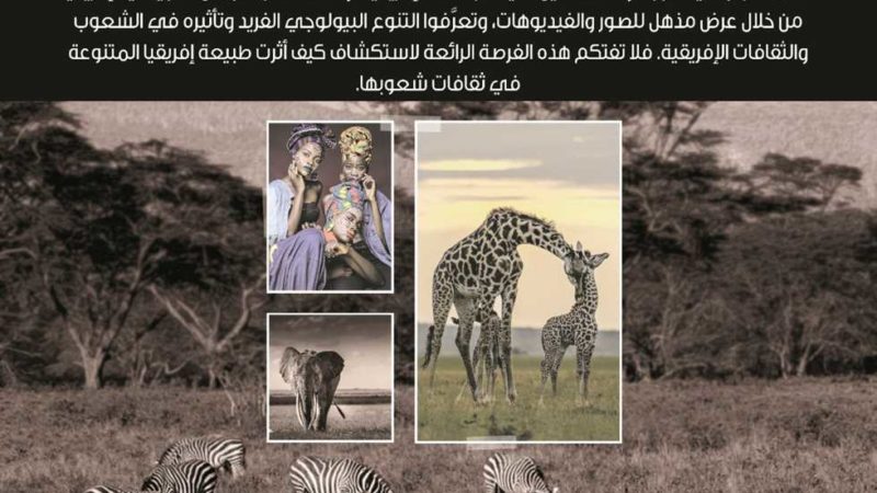 غدًا.. مكتبة الإسكندرية تنظم معرض «إفريقيا: الأرض والشعوب»