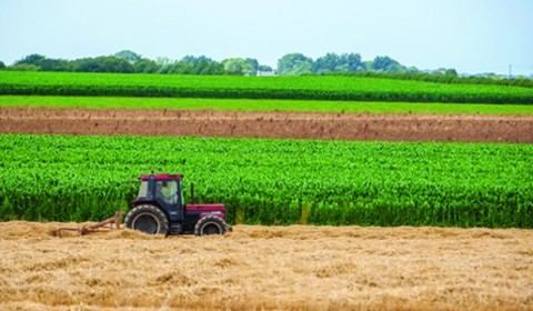 Les agriculteurs ont besoin de semences et d’engrais