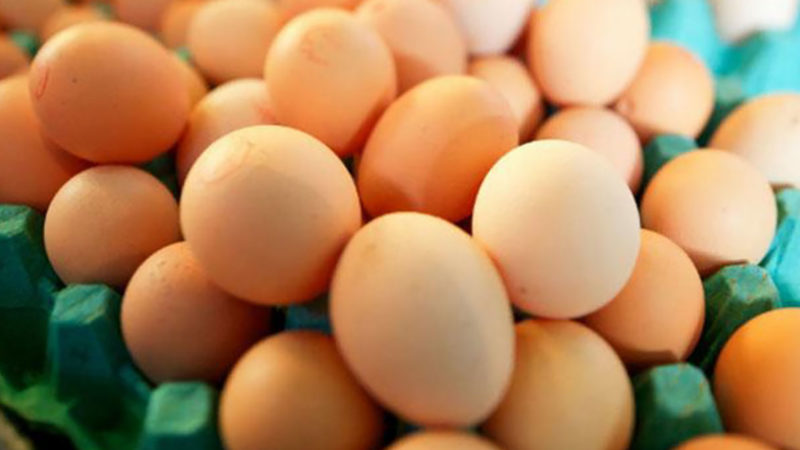 La production des œufs a évolué de 4,8% en janvier