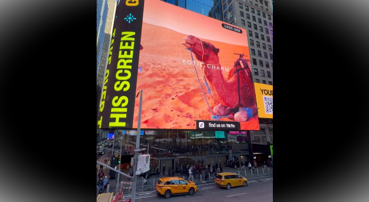 La Tunisie rayonne à Times Square à Manhattan