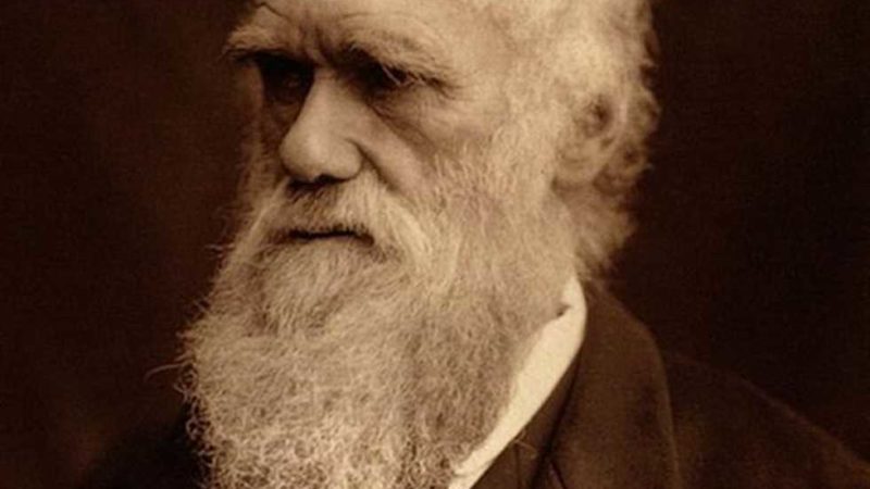 «زي النهارده».. وفاة تشارلز داروين 19 أبريل 1882