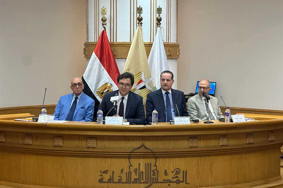 أحمد هنو نافيًا غلق قصور الثقافة: «لن نخصخص الوزارة ولا نبيعها»